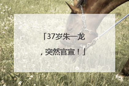 37岁朱一龙，突然官宣！
