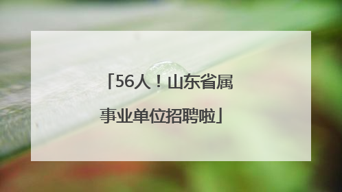 56人！山东省属事业单位招聘啦