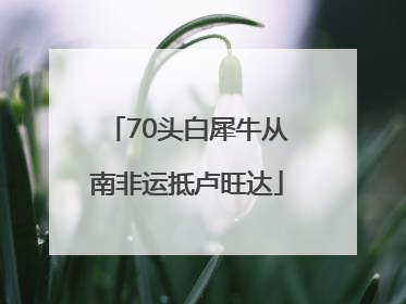 70头白犀牛从南非运抵卢旺达