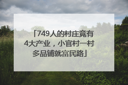 749人的村庄竟有4大产业，小官村一村多品铺就富民路