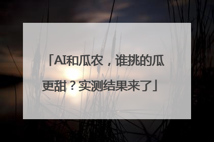AI和瓜农，谁挑的瓜更甜？实测结果来了
