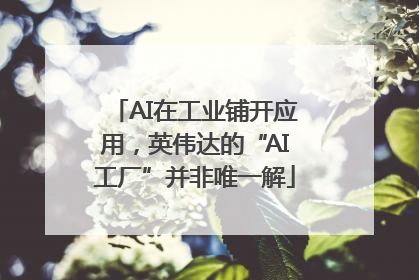AI在工业铺开应用，英伟达的“AI工厂”并非唯一解