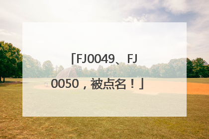 FJ0049、FJ0050，被点名！